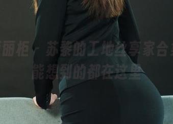 Ligui丽柜 – 苏黎的工地丝享家合集，你能想到的都在这里